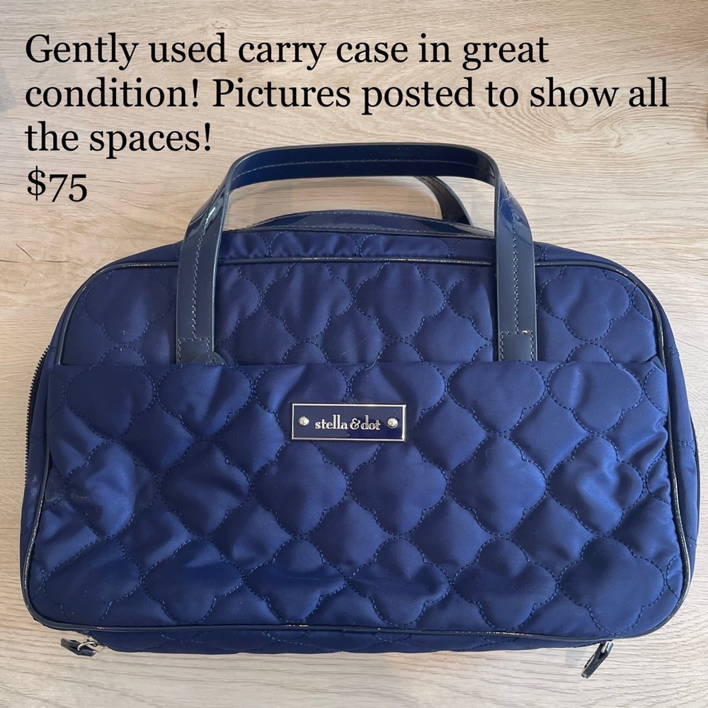 Travel Case for Jewelry- Great condition and fits SO much!